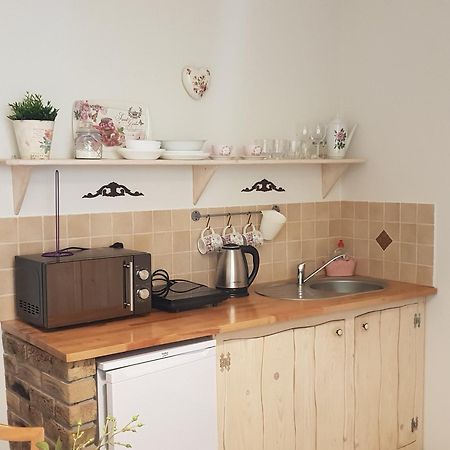 Apartamenty Zielona Owieczka Неджиця-Замок Екстер'єр фото