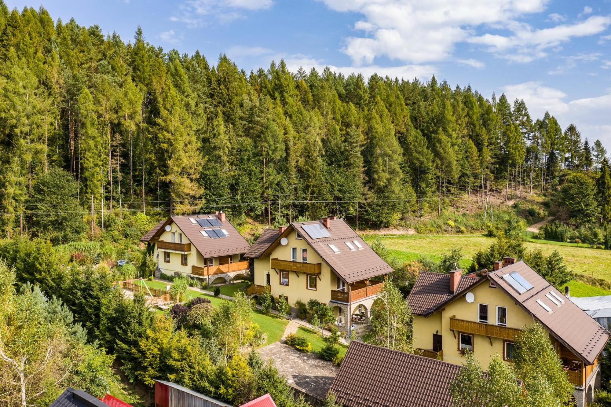 Apartamenty Zielona Owieczka Неджиця-Замок Екстер'єр фото