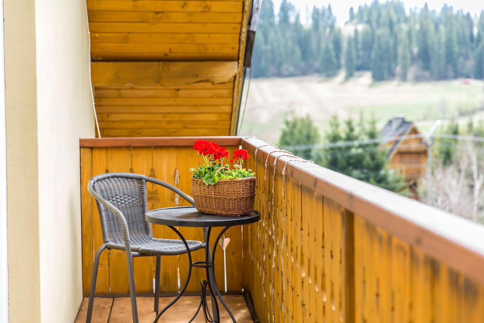 Apartamenty Zielona Owieczka Неджиця-Замок Екстер'єр фото