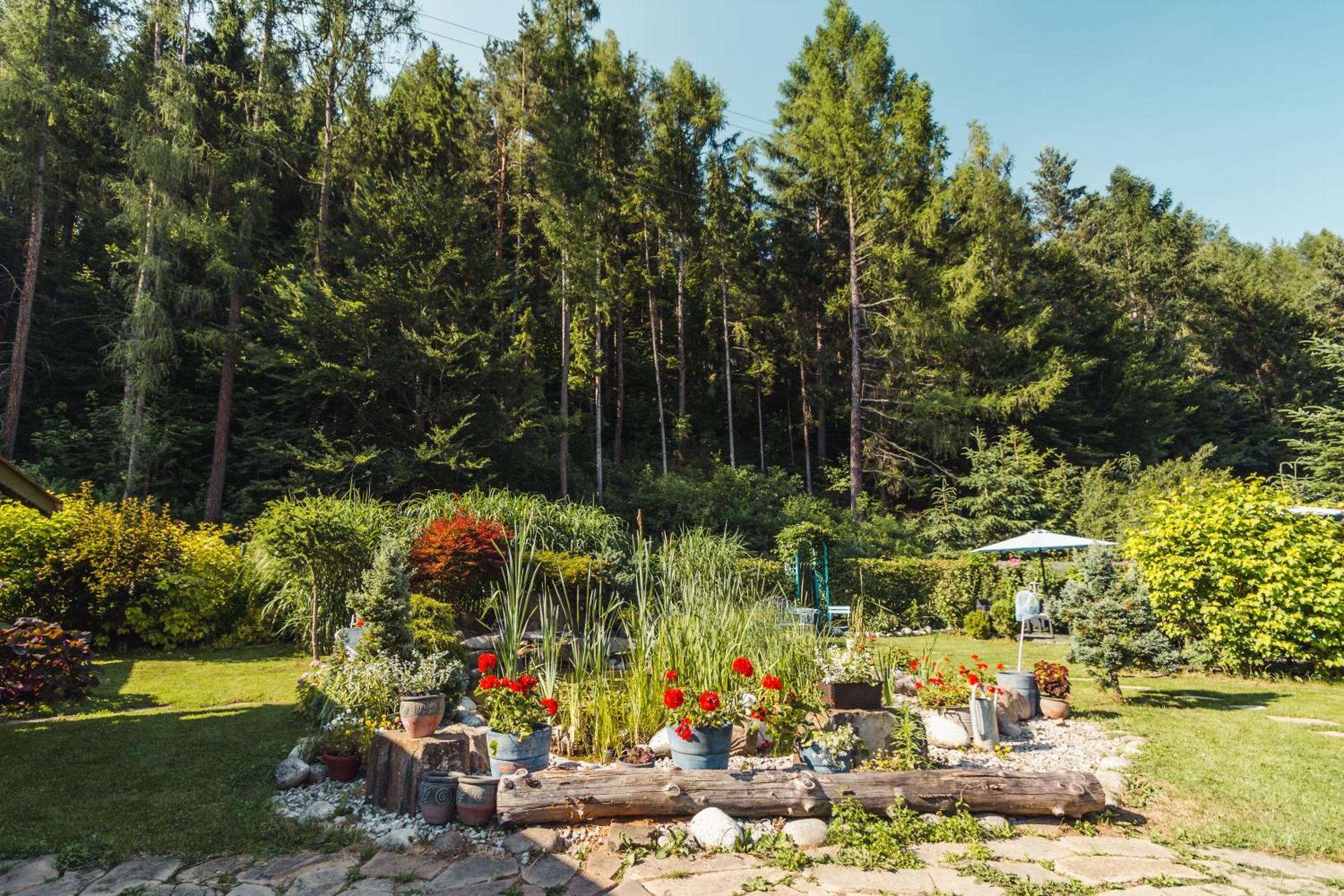 Apartamenty Zielona Owieczka Неджиця-Замок Екстер'єр фото